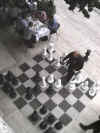 chess.jpg (157959 bytes)